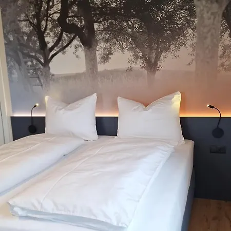 Zollquartier Appartement