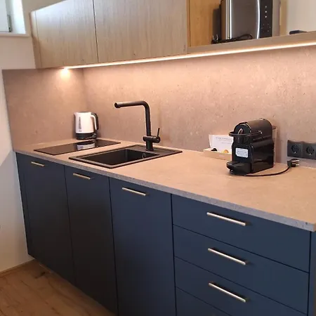Zollquartier Appartement
